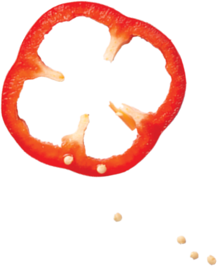 Image Title My Image