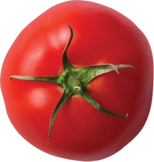 Image Title My Image